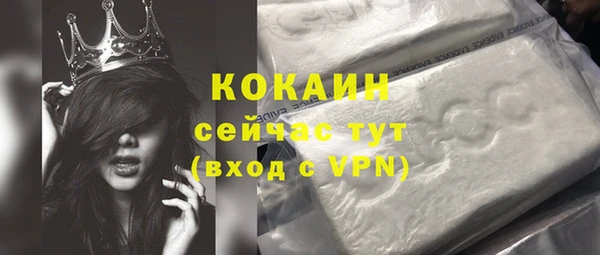 шишки Алексин
