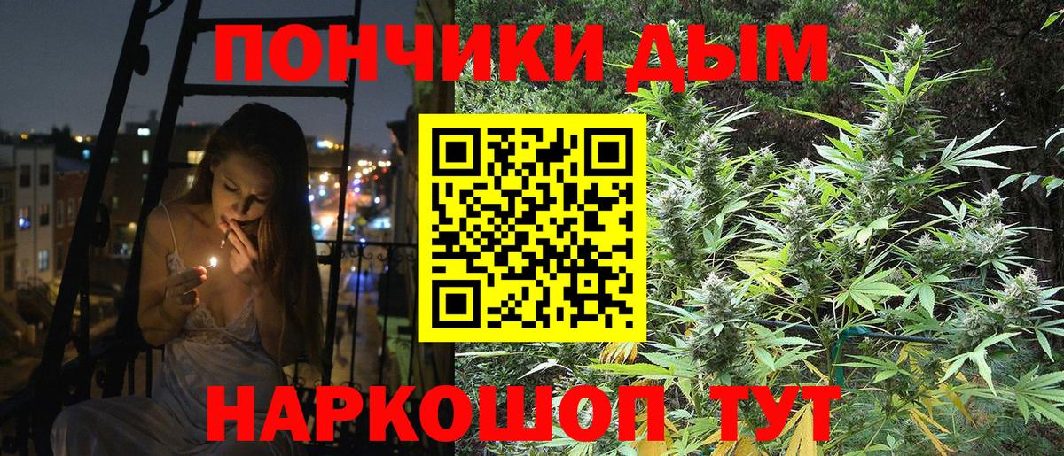 Каннабис Bruce Banner  Марихуана VHQ  Вход с VPN  Марихуана планчик  Протвино  МАРИХУАНА сатива 